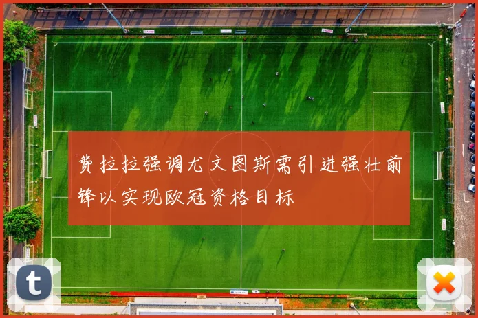 费拉拉强调尤文图斯需引进强壮前锋以实现欧冠资格目标