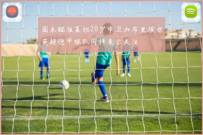 国米瞄准莱切20岁中卫加布里埃尔英超德甲球队同样表示关注