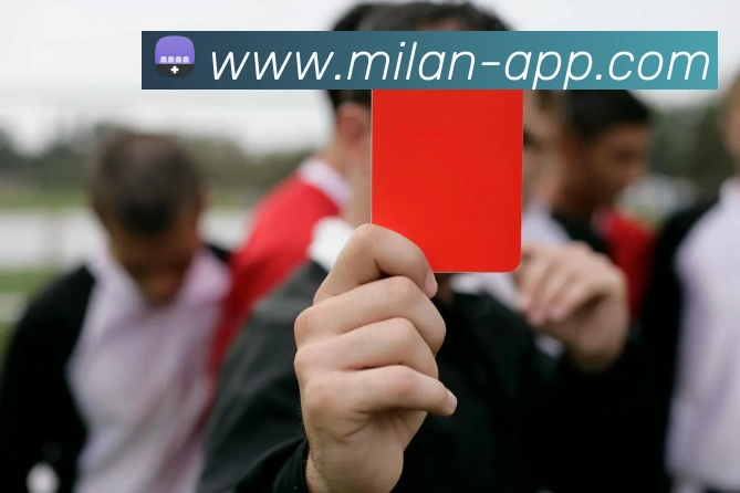 米兰体育平台生态图